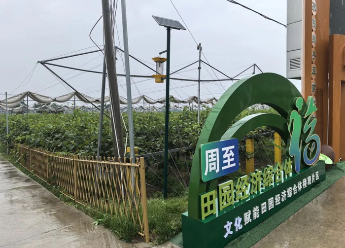 聚力"八个新突破"!长安区,周至县晒出"成绩单",亮出"新举措"