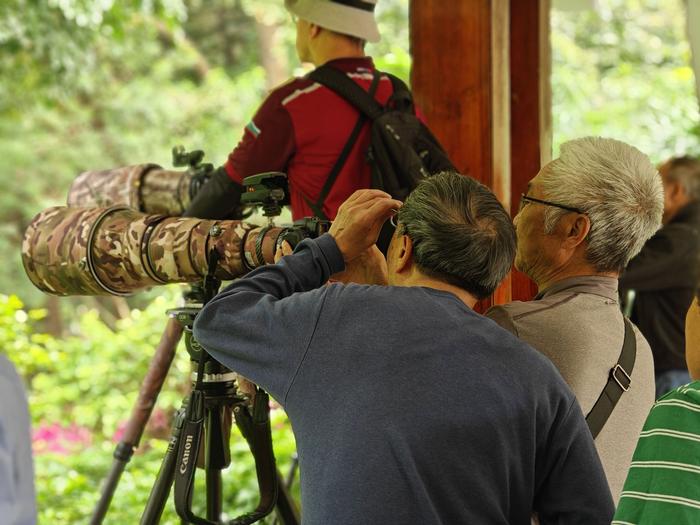 温浙洪告诉记者,珠江公园主动建立起两个鸟友摄影群,不仅采纳鸟友们