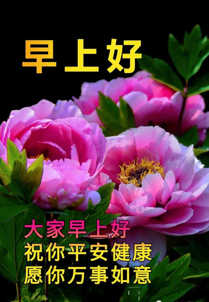 2024年6月6日最新早上好祝福语图片大全 精选早安问候祝福图片带字