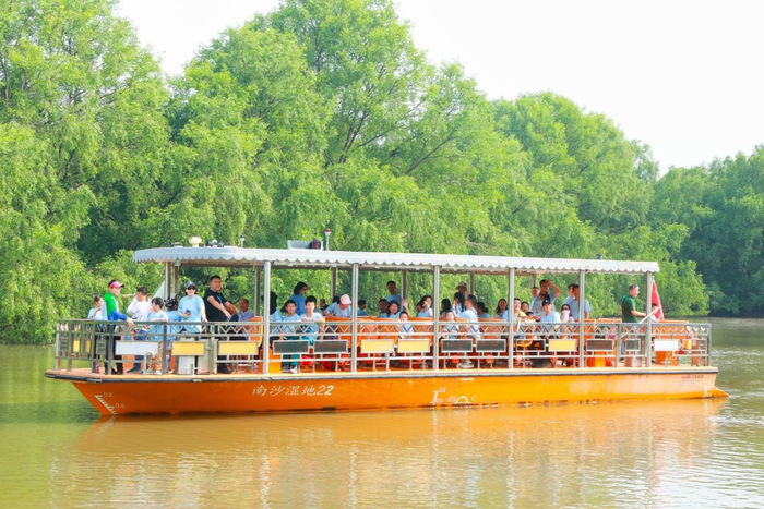 世界海洋日|守护蔚蓝海岸,广州有这些行动
