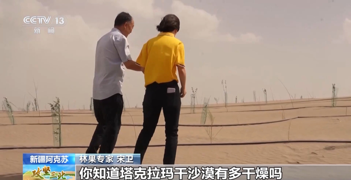 不再荒凉 沙区添绿又"生金"事业未来可期→|塔克拉玛干沙漠_新浪新闻