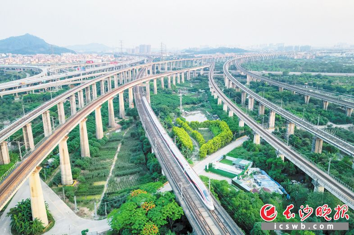 每天6趟,长沙64广州1小时59分直达|长沙市|广州市|列车_新浪新闻