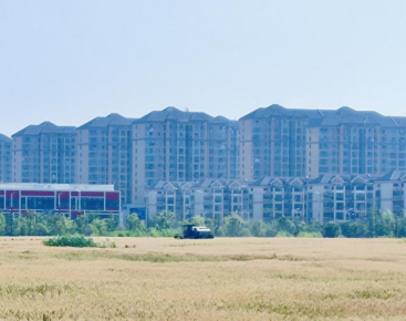 苏州漕湖:助推集体经济发展  绘就乡村振兴"新画卷"