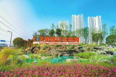 成都天府国际生物城:推进园区集成授权改革 激发生物医药产业创新活力