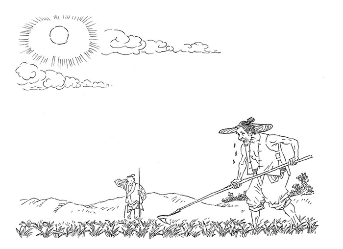 芒种诗话:芒种忙种,珍惜民力