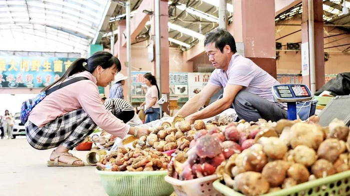 野生菌市场菌飘香。陈飞 门世辉 摄
