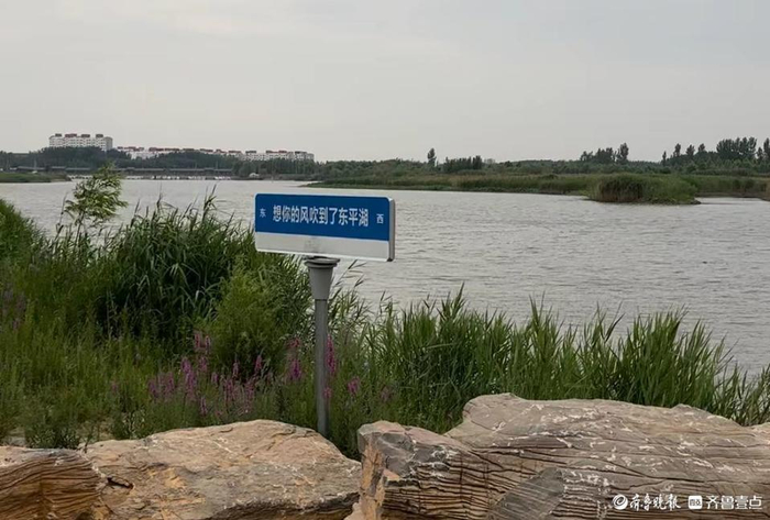 积极践行"三水统筹"治水理念,泰安有序推进美丽河湖建设