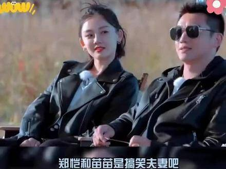 郑恺苗苗是不是擅长说相声的?磕cp的快乐 郑恺苗苗搞笑