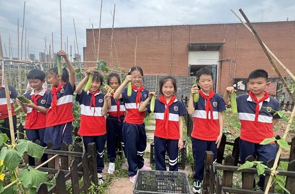 两江新区星湖学校:劳动教育从课堂延伸至田间,家庭