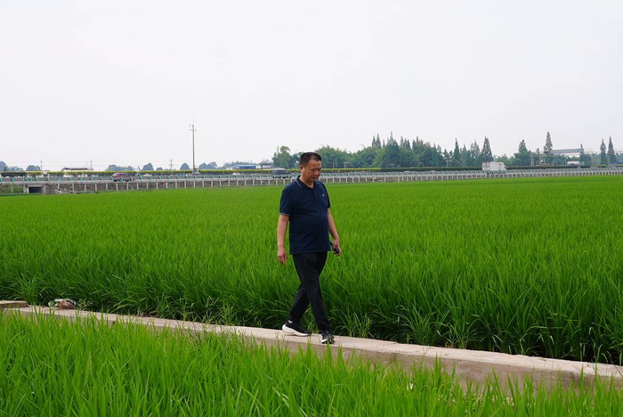 永丰这一年:"永丰五宝"助力 村集体收入首次突破100万元__财经头条