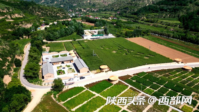 如今的南梁镇一派生机盎然