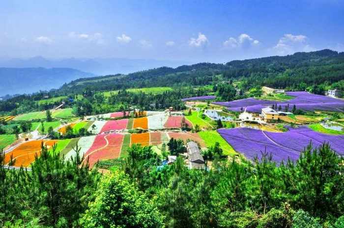 约起!万州这些好耍地,传来好消息