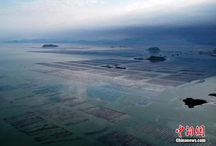 6月7日,福建省连江县定海湾海域的海上粮仓风光如画