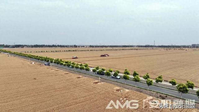 全省首家千亩无人农场小麦收割安阳融媒记者 周同亮 陈淇千亩沃野