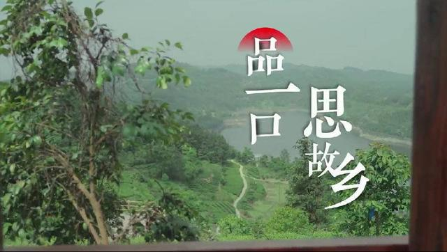 一等奖获奖作品《品一口，思故乡》截图