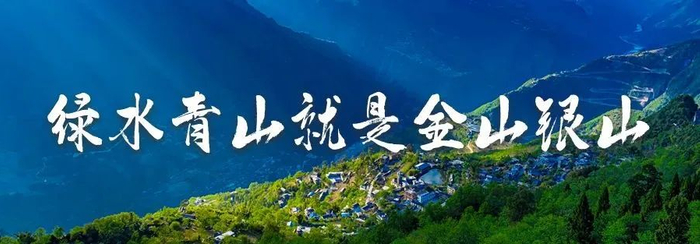 来自云南省红河哈尼族彝族自治州屏边苗族自治县山中的荔枝甜蜜上市