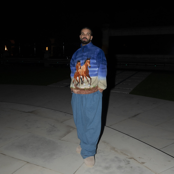 drake买50万美元独行侠夺冠!其身家为2.5亿刀