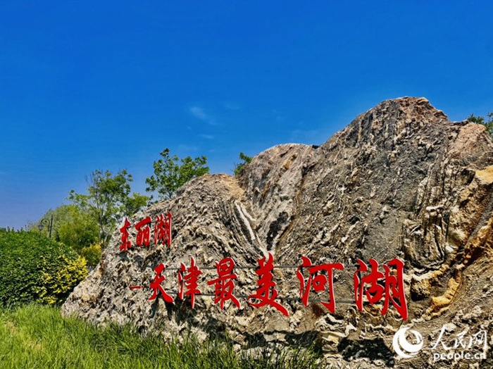 天津东丽湖:一汪碧水展新颜