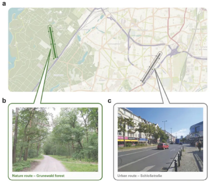 参与实验者散步的自然环境和城市环境 研究截图