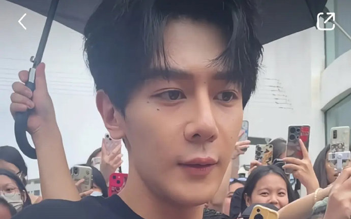 夏之光的鼻子被热议了