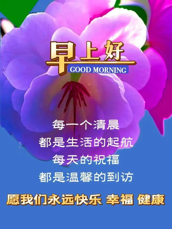 2024年6月9日最新早上好祝福语图片大全 精选早安问候祝福图片带字