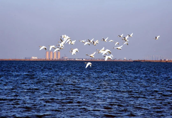 环团泊湖体育旅游休闲区位于天津市武清区,配备fia认证的g2(国际二级)