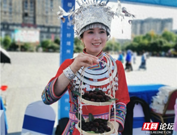 满口爆汁的靖州杨梅,一嘴下去全是夏天的味道