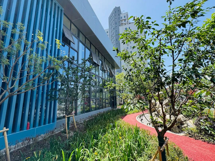普陀区三所学校将崭新亮相|普陀区|学校|武宁_新浪新闻