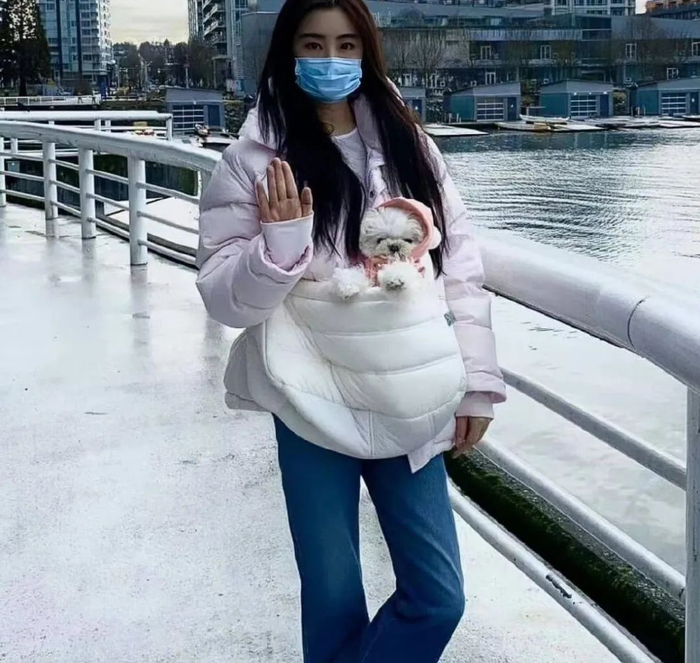 王祖贤温哥华被偶遇,独自背爱犬逛商场!