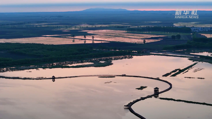 时下,位于黑龙江省佳木斯富锦市的富锦国家湿地公园,草木渐绿,飞鸟翔