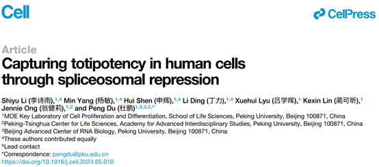 《细胞》重磅:北大团队获得两种新型人全能性干细胞
