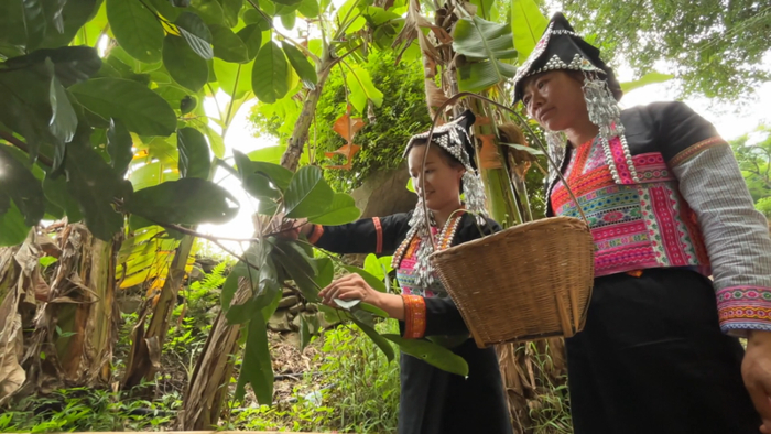 为了一探花腰傣特色粽子,记者来到了石屏县异龙镇六家山村委会大寨村