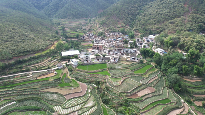 为了一探花腰傣特色粽子,记者来到了石屏县异龙镇六家山村委会大寨村
