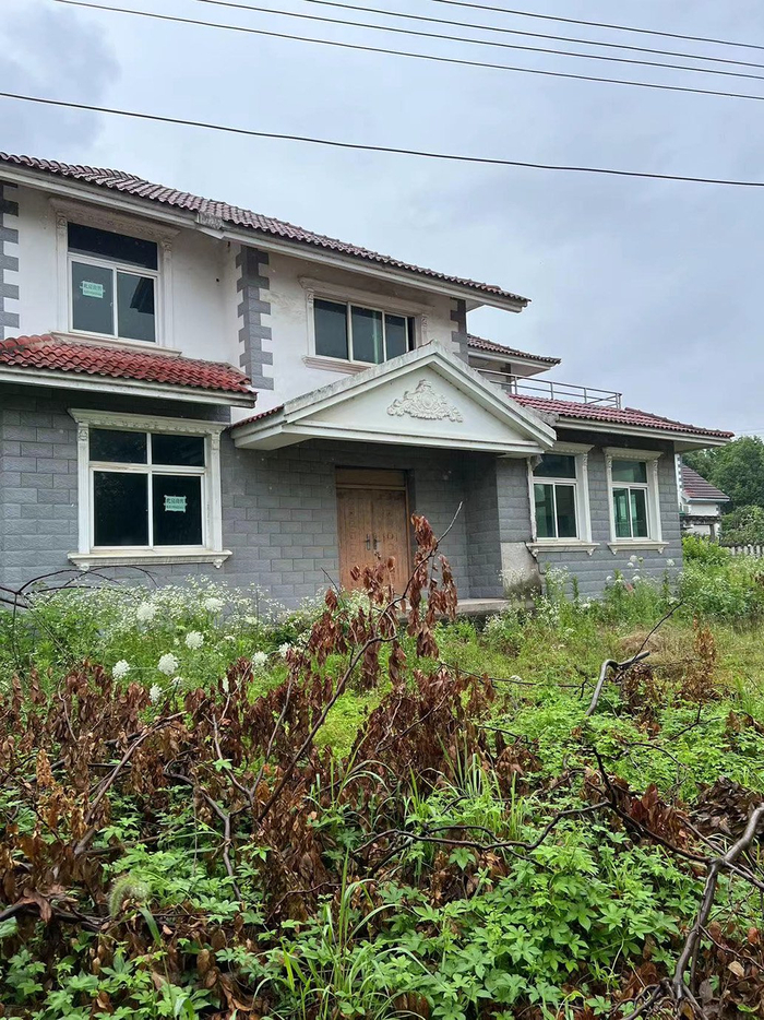 凤苑小区闲置的房屋，院内杂草丛生。