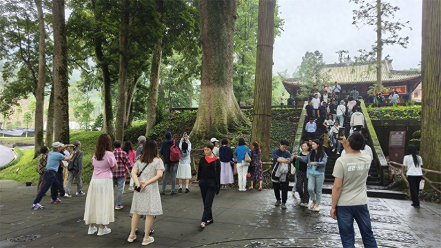 局获悉,全市共48家a级旅游景区,纳入统计的44家a级旅游景区(周公山,开