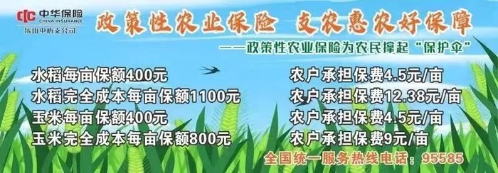 明确了!乐山这些人免费耍