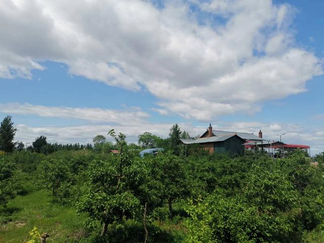 醉美边境村|果蔬两旺 打造强村富民"金钥匙"