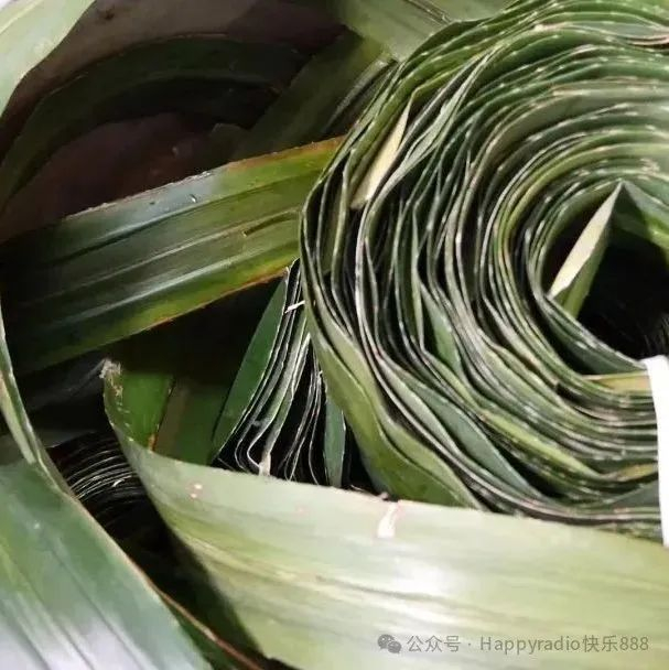 端午美食:《中山美食游》教你裹芦兜粽!