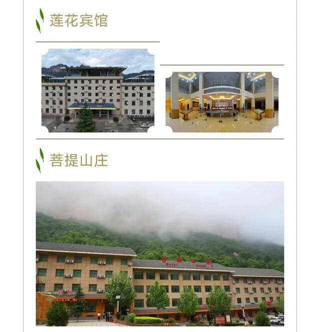 千里姻缘一线牵!开封(王婆)—赵梅走进七步沟