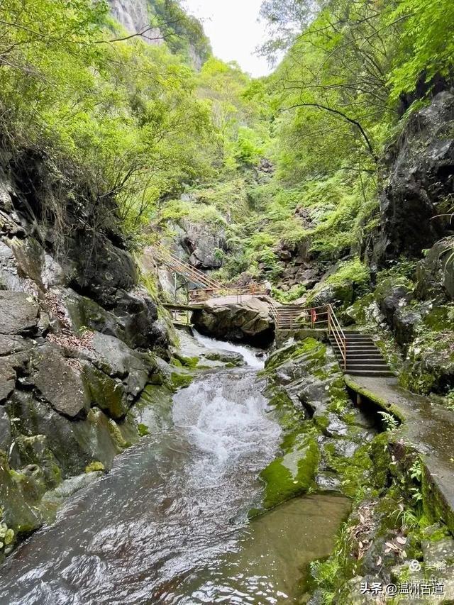 幽美的十八潭景观,浙江这个小众避暑好去处值得一游!