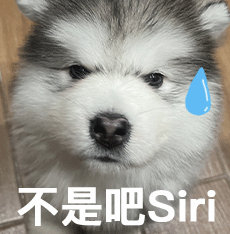 苹果wwdc24就快开始了,氪君希望改进后的siri更说人话