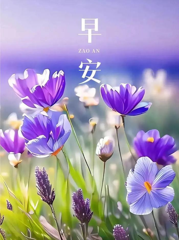 2024年6月11日最新早上好祝福语图片大全 精选早安问候祝福图片带字