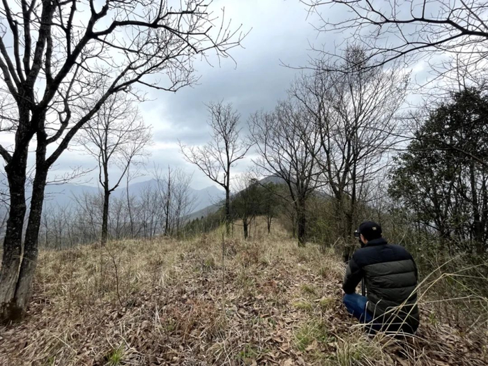 摄制组在野外寻找红花玉兰摄制组按照指引来到了一个偏僻的山坳,终于