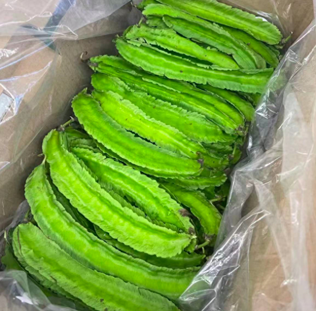 夏天,这菜使劲吃,一强骨骼,二保护视力,三增免疫,鲜嫩别错过|四棱豆