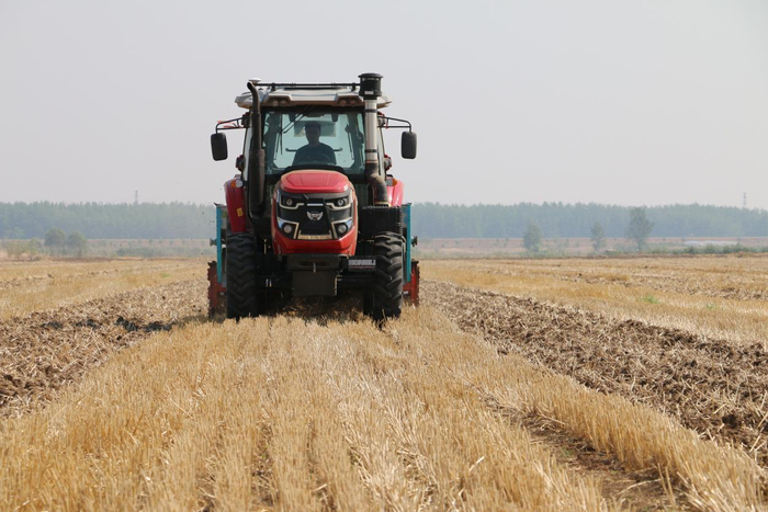 安徽五河:科技助力夏种保丰收|玉米|大豆|夏种_新浪新闻