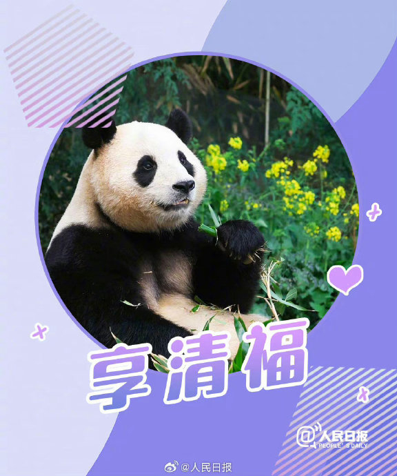 接福啦!收藏福宝送福表情包