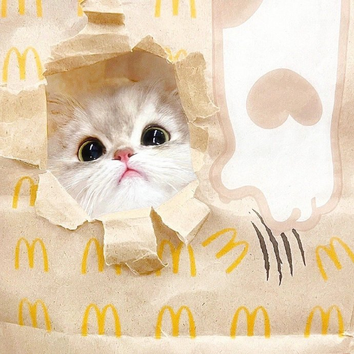 甜甜的小猫头像拍了拍你