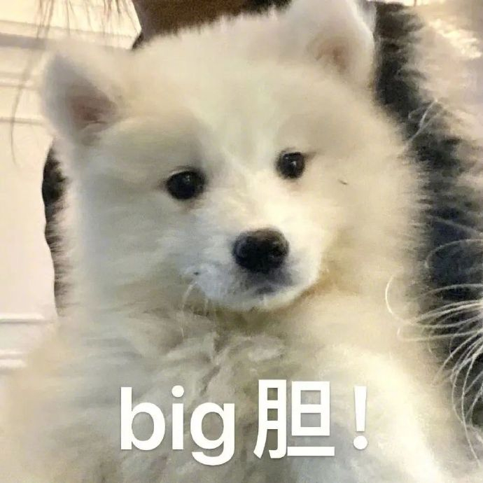 表情包新风尚,不用试试看?