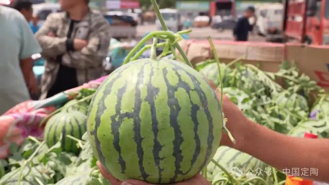 在定陶区南王店镇像刘师傅一样的职业验瓜师有近80余名,正是有了他们