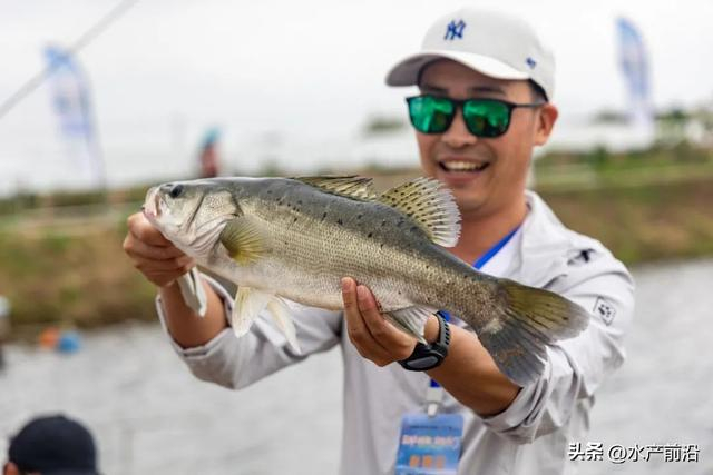 卖价40元/斤以上,新创"急性升盐"技术让这条鱼身价翻了4倍